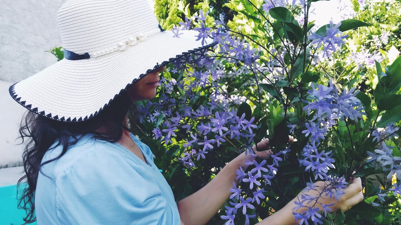 Flores Azuis em Cacho