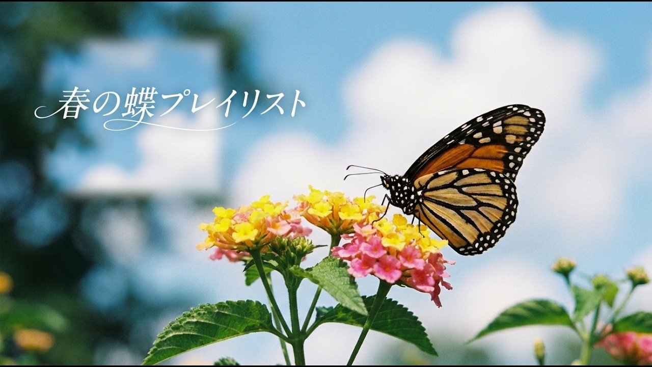 蝶と花の春 🌸 心を癒すやさしいピアノプレイリスト