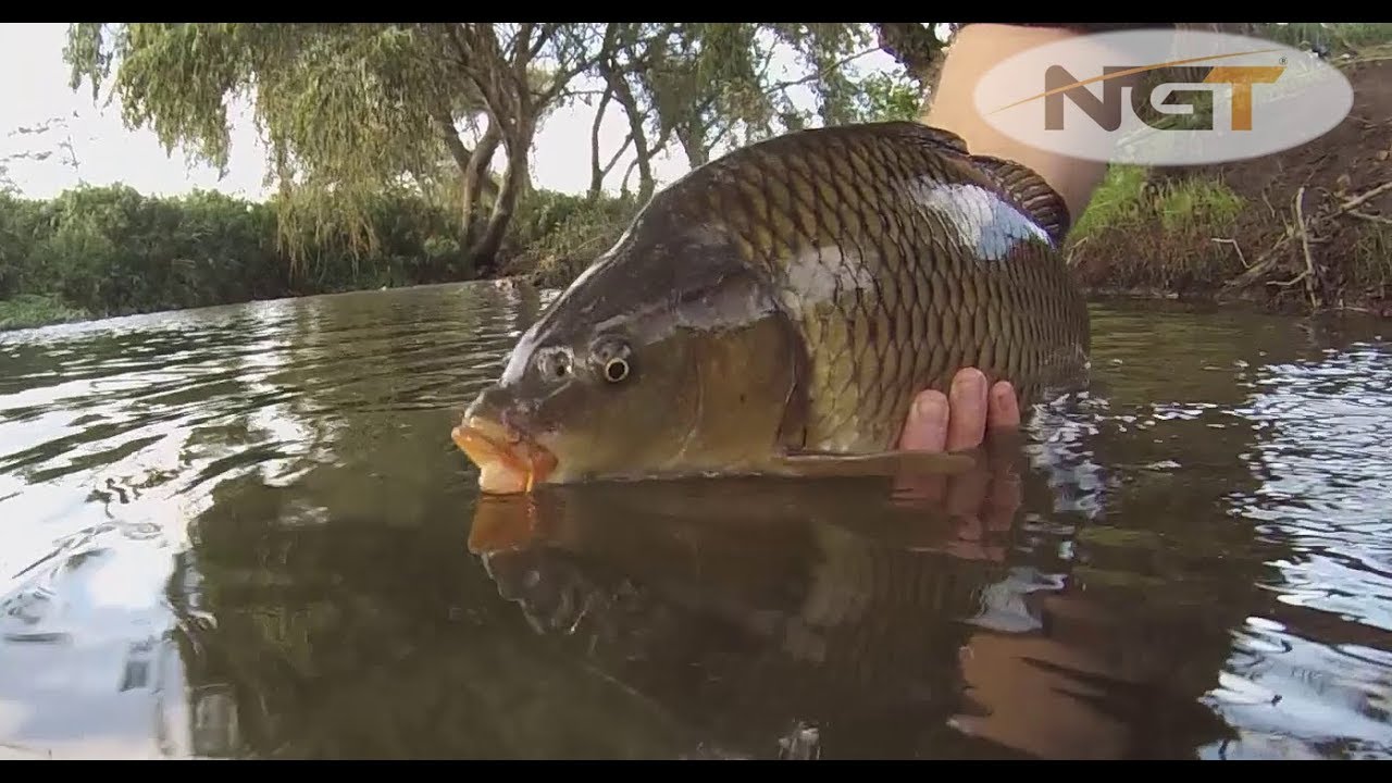 Guide to Carp Fishing  Carp Care S1E6  Part 1