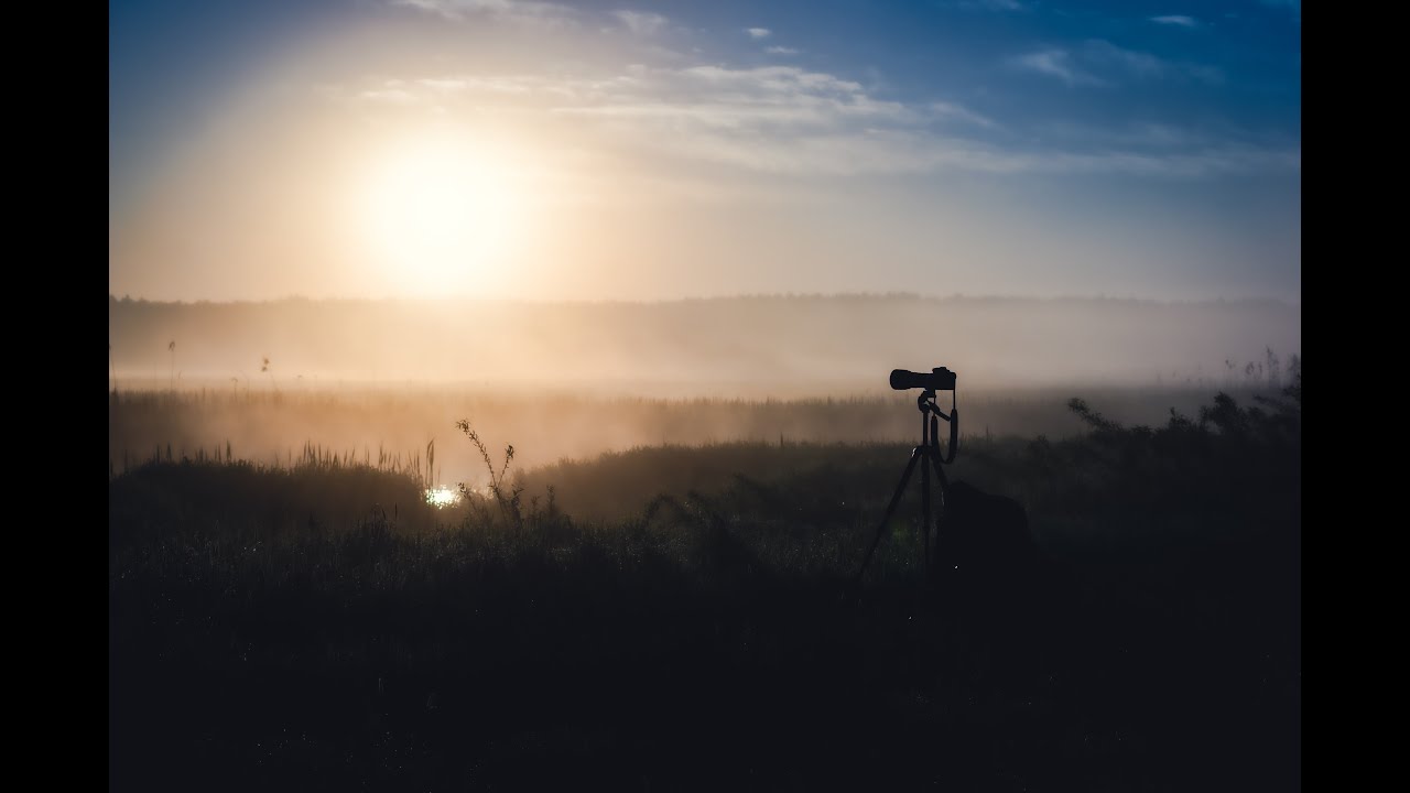 Żmije - Fotografie  @PRRzeszow  #viralfolk | #folkpoland |