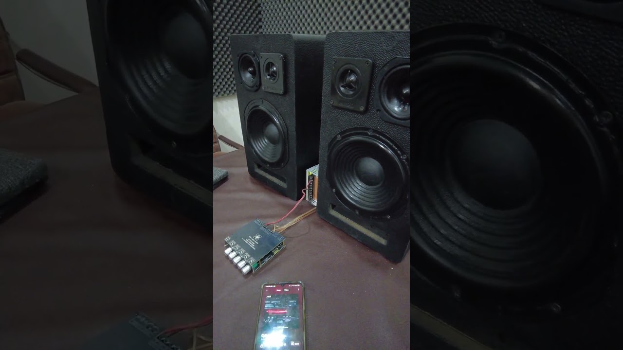 3 Way Sony Bookshelf Speaker DIY Build