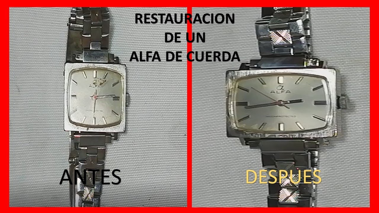 MANTENIMIENTO DE UN ALFA DE DAMA