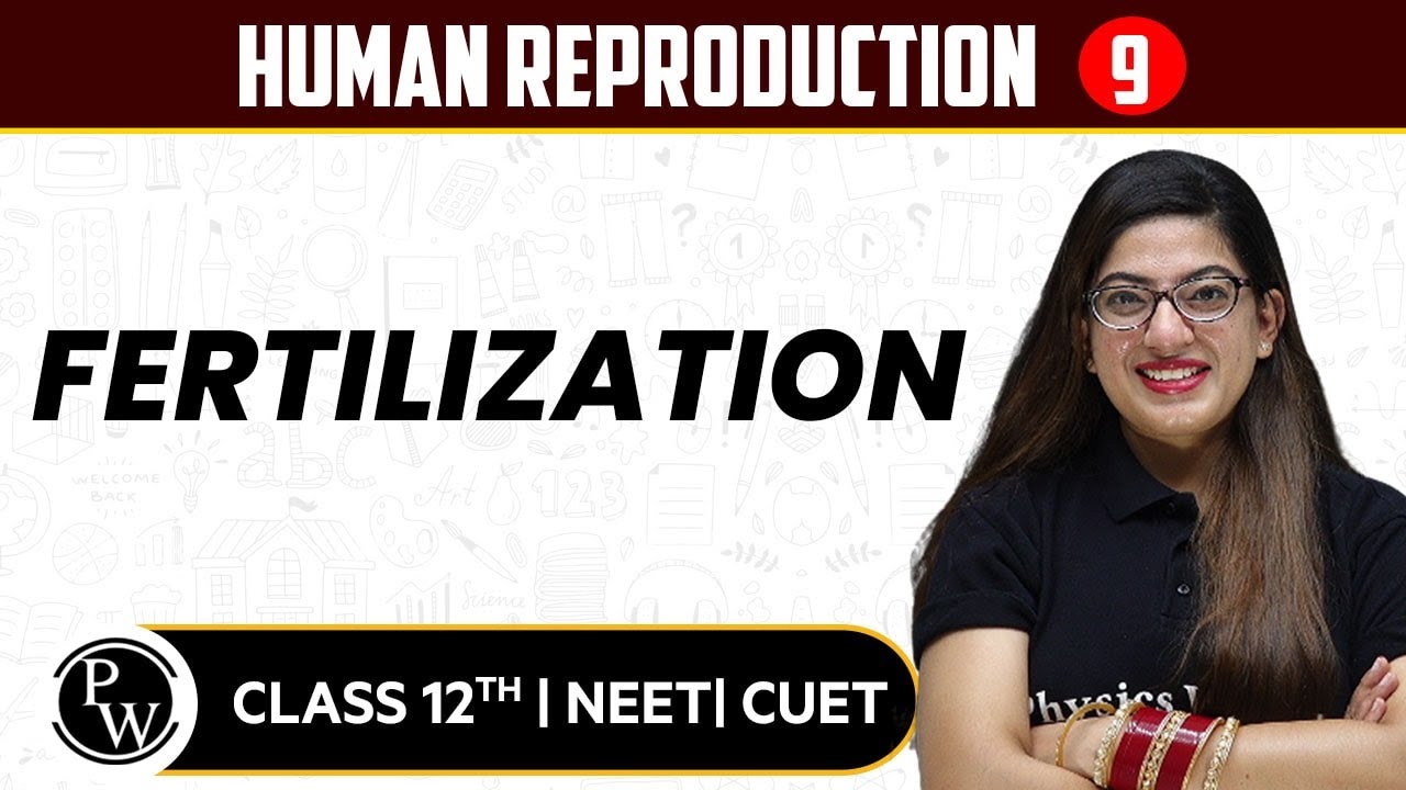 Human Reproduction 09 | Fertilization | Pure English | 12th / NEET