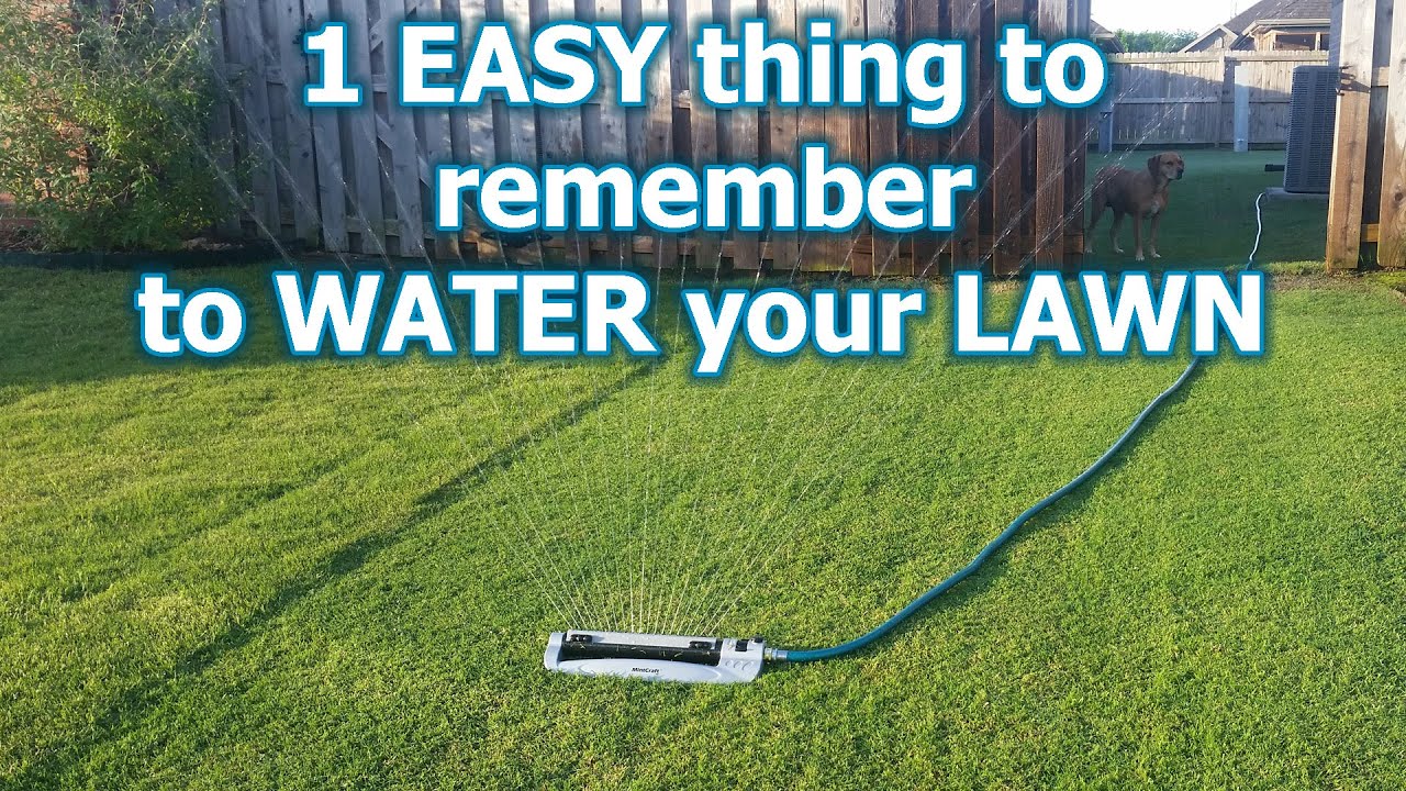 4 Simple Tips to Water Your Lawn the Right Way // Watering grass isn't that hard so stop stressing!