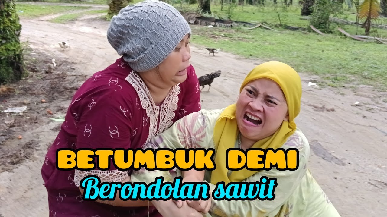 Episode 36 REBUTAN BERONDOLAN