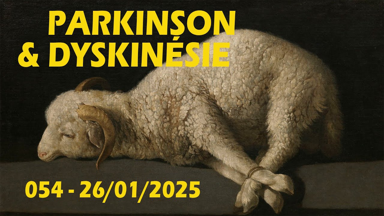 Parkinson's Follies 054 :  Parkinson &  dyskinesies