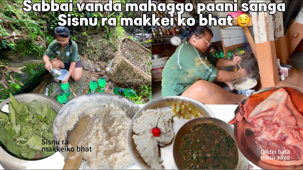 Gharko paani badile bagaye pachi Kuwa tira paani vardai🥴 || Pahade Sisnu ra makkeiko Bhat recipe