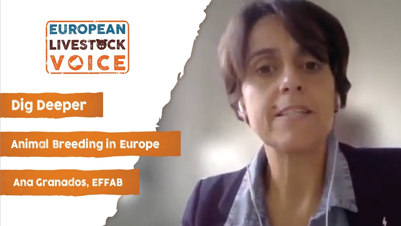 ANIMAL BREEDING IN EUROPE &ndash; Interviewing Ana Granados (EFFAB) &ndash; Myth busting with the experts