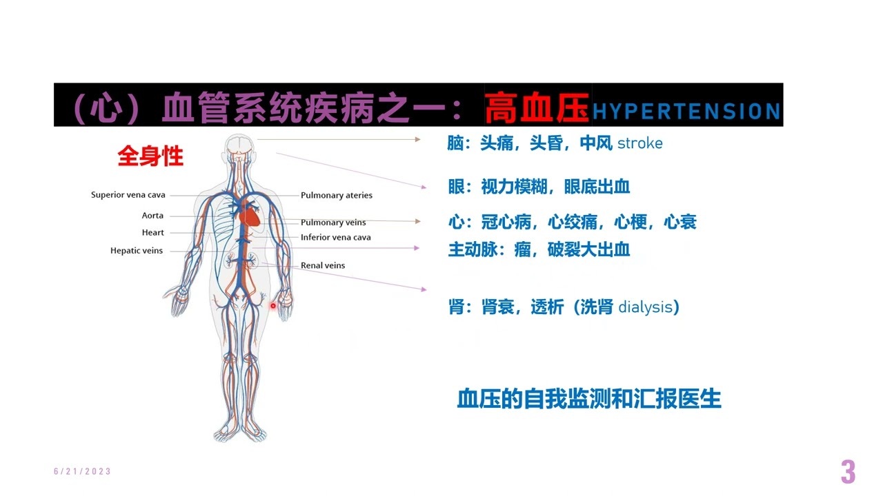 医学科普：心血管系统
