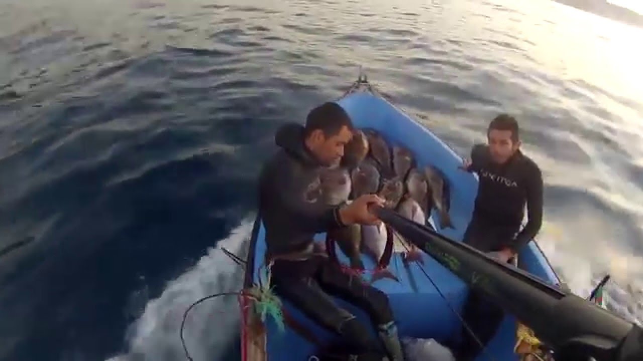 deep spearfishing by abdennour cherdoud 2015/2016