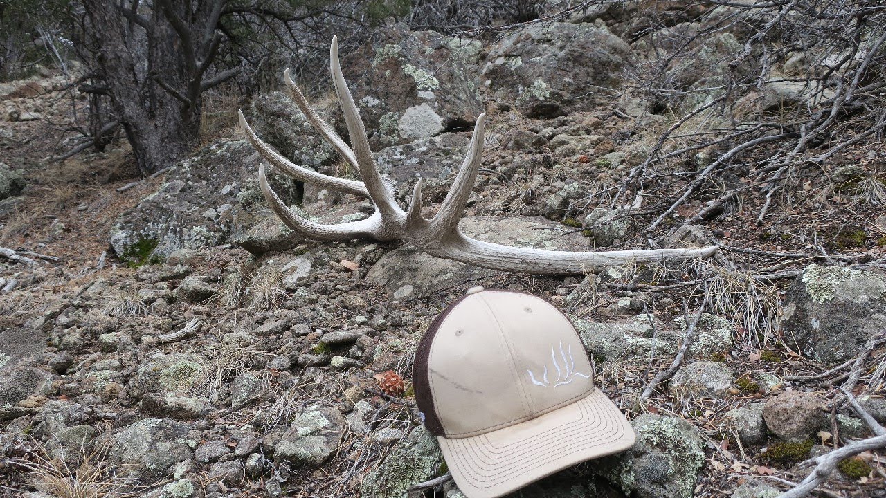 Picking up a 385 inch set of Elk Sheds by Tines Up