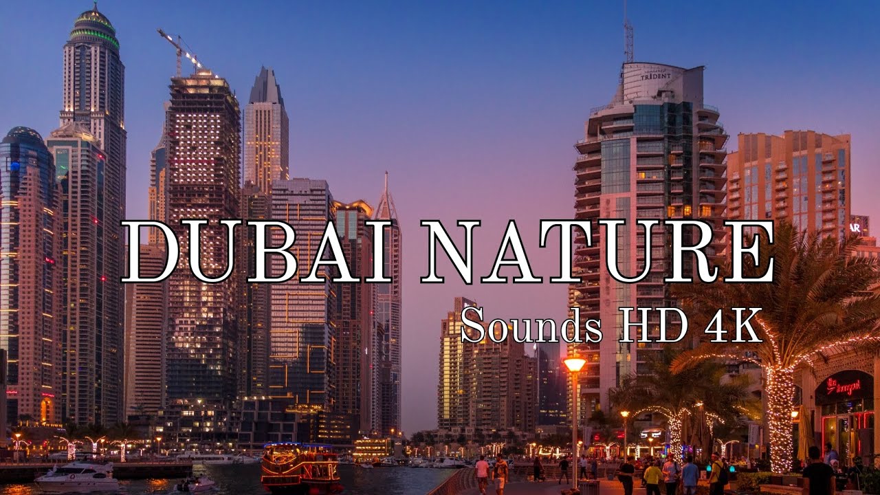 dubai &brvbar; NATURE SOUNDS HD 4K