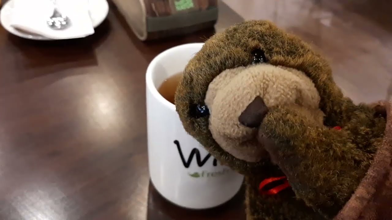 Snug Goes Out to Sample Coffee at Williams Cafe!