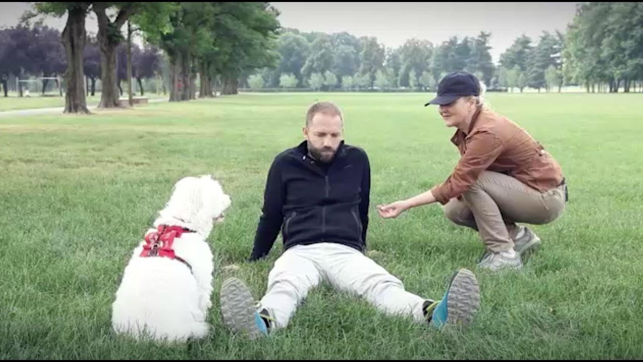 Come aiutare un cane pauroso con le persone