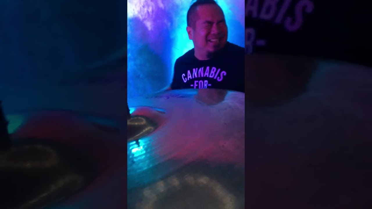 STA MARIA - QUESO with ROBERT DELA CRUZ & JC SEBASTIAN