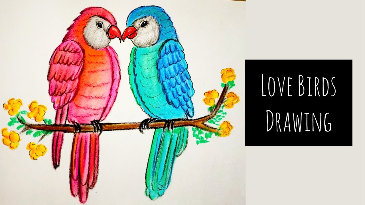 Soft pastel Birds drawing | drawtales | love birds