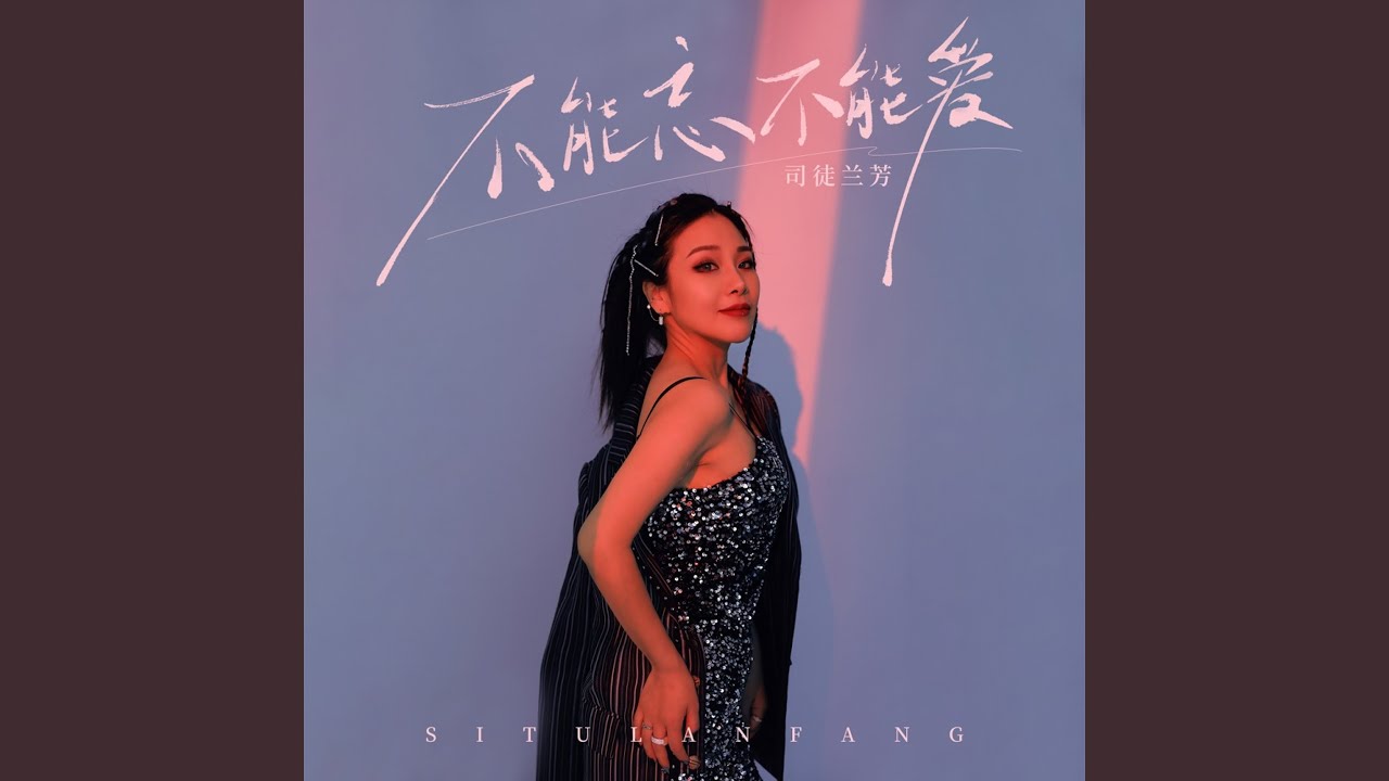 不能忘不能爱 (DJ九零版)