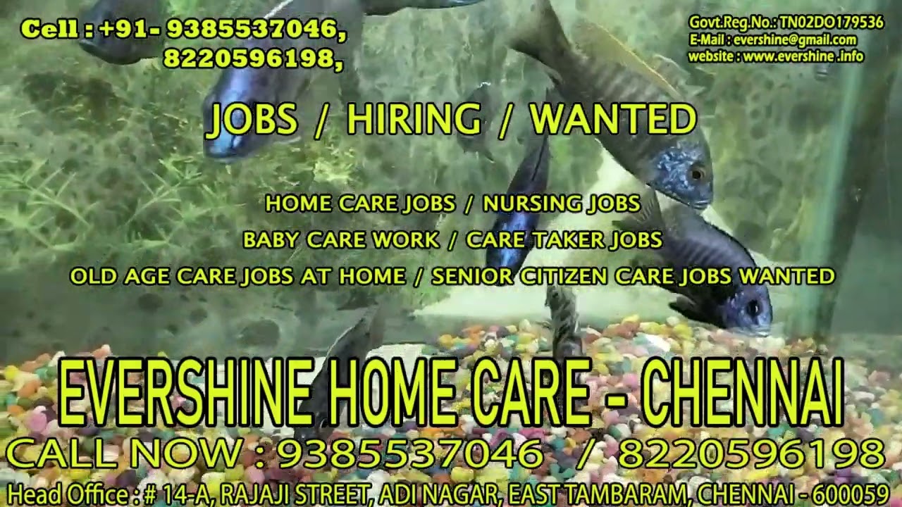 general duty assistant vacancy in chennai | certified nursing assistant job vacancy in chennai
