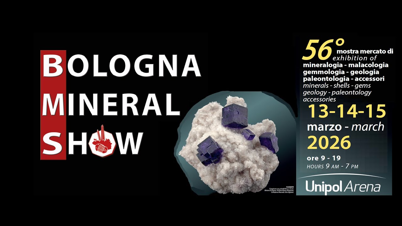 Trailer: BOLOGNA MINERAL SHOW 2026