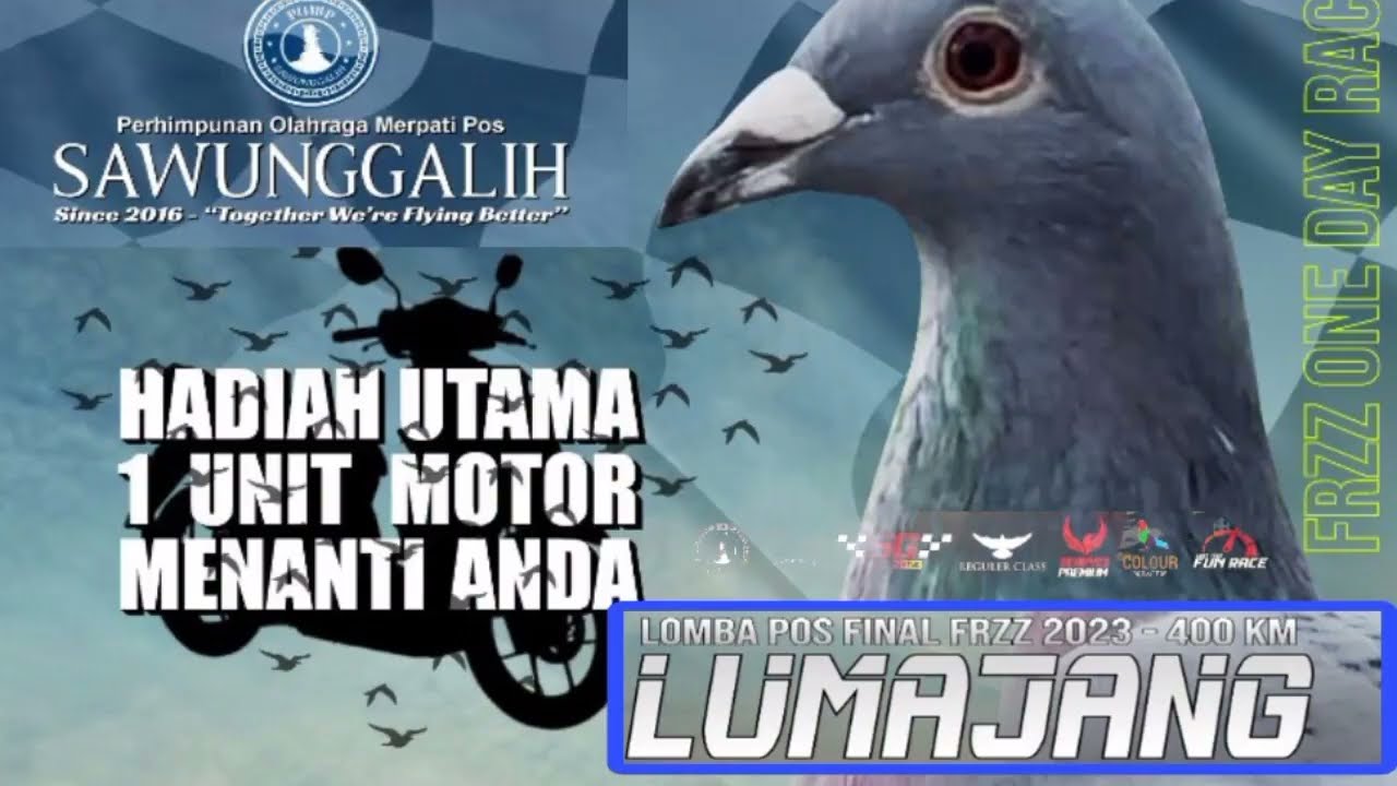 Final Lomba FRZZ Lepasan Lumajang||Pomp Sawunggalih 2023
