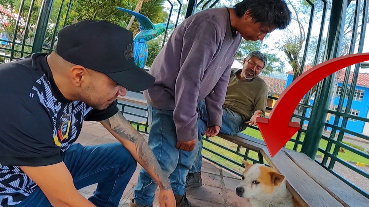 🔞EL DOLOR DE LOS ADICTOS EN LAS CALLES 🥃🚬🔪