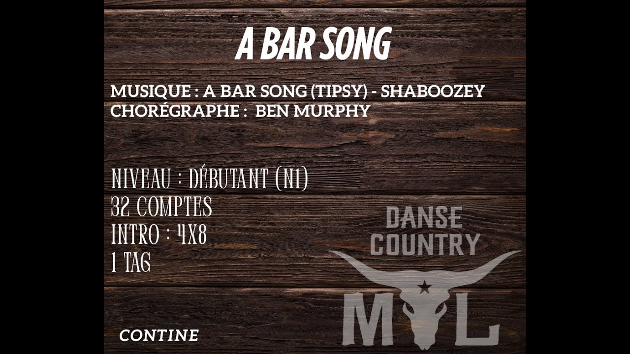 A bar song [tipsy]