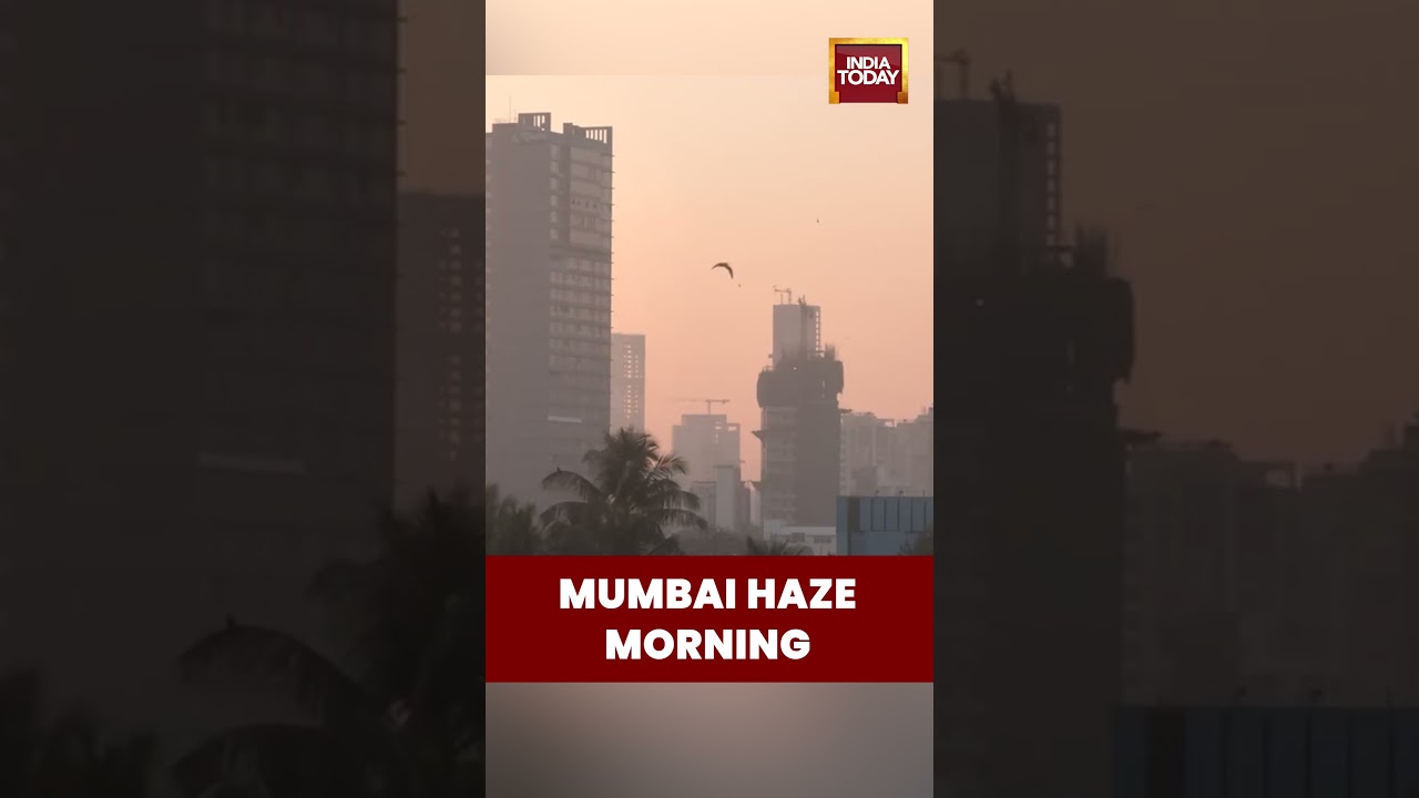 Mumbai Wakes Up to Thick Haze | Low Visibility Across Bandra as Air Quality Dips This Morning