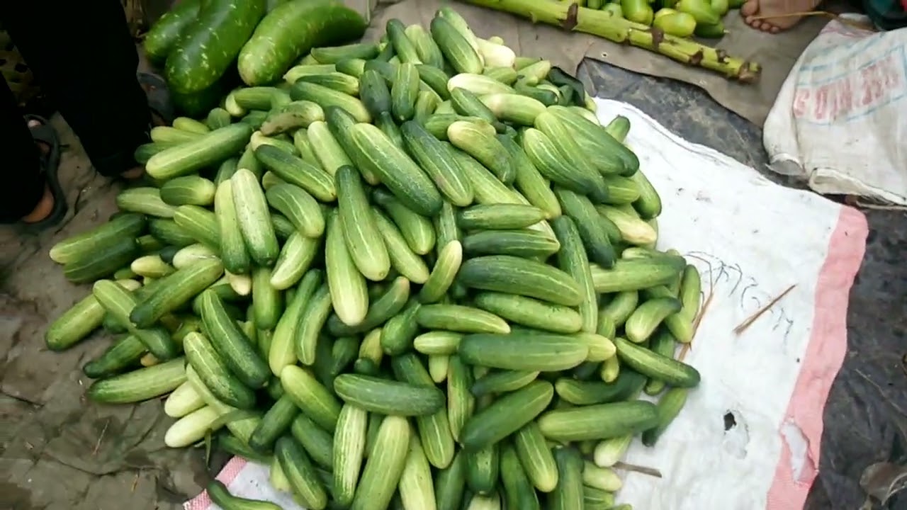 যশোরে সবজি বাজার। কাঁচামালের আড়ত যশোর😋