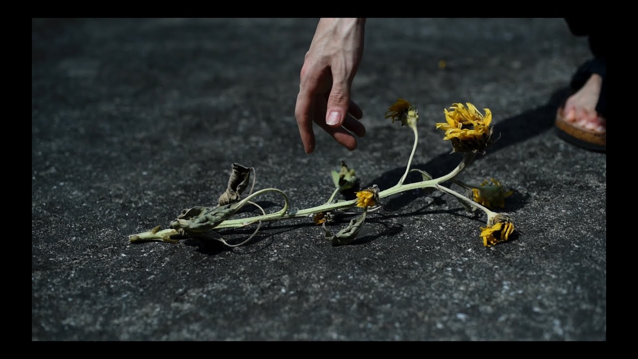 Shag - soft as sea(Acoustic bass guitar)