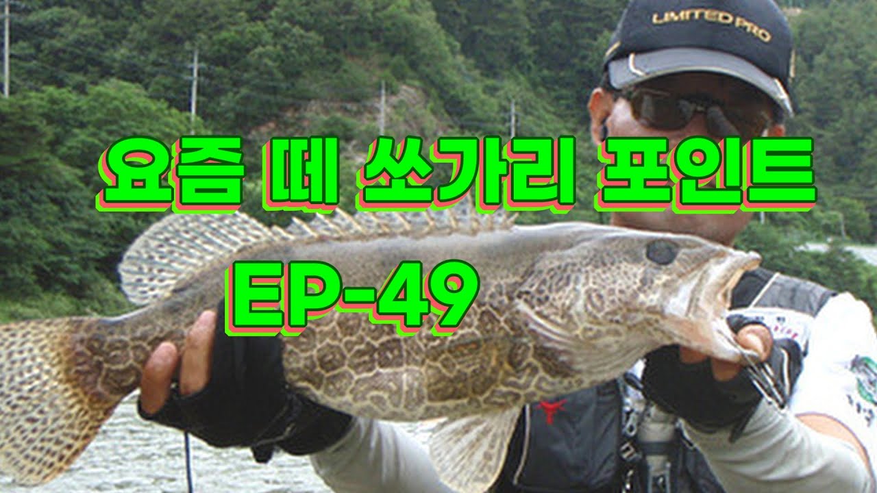 떼쏘가리 포인트탐색 EP-49