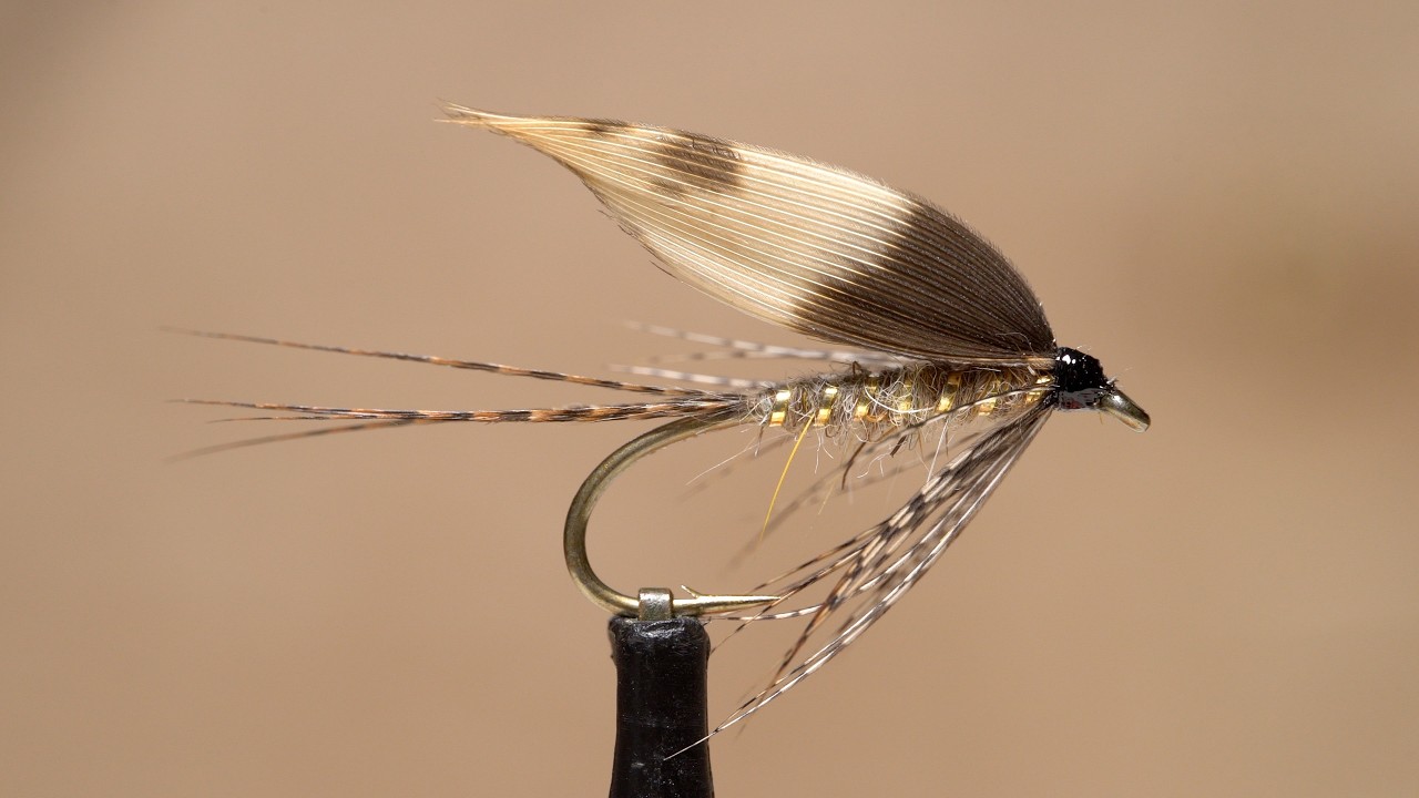 Welsh March Brown