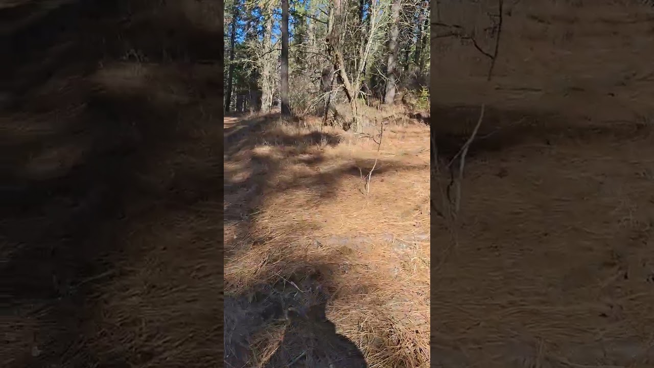 Zephyr connector trail hike pt.1