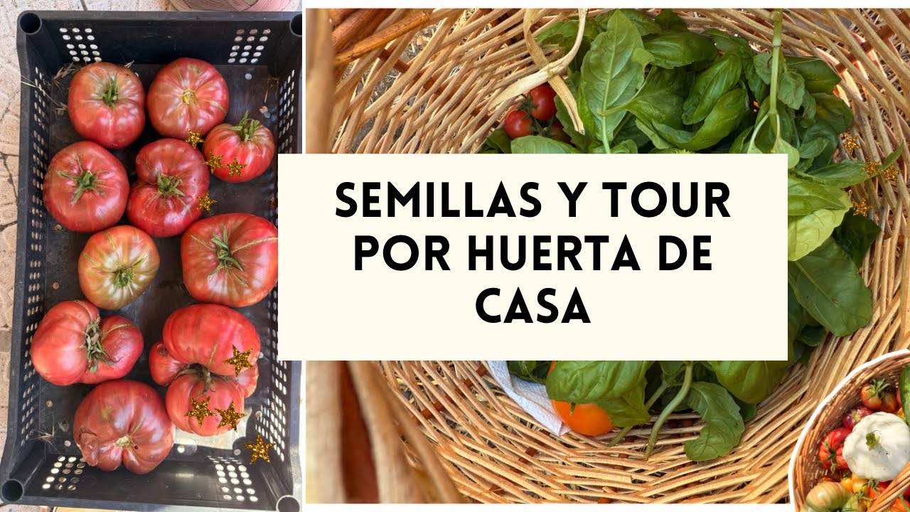 Semillas y tour por huerta de casa