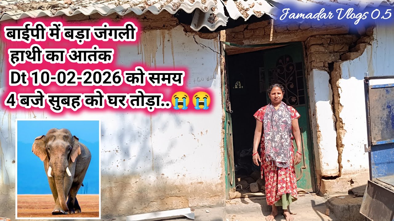 बाईपी में जंगली हाथी का आतंक ll forest Elephant ll घर तोड़ा Dt 10-02-2026 समय 4बजे सुबह क़ो 