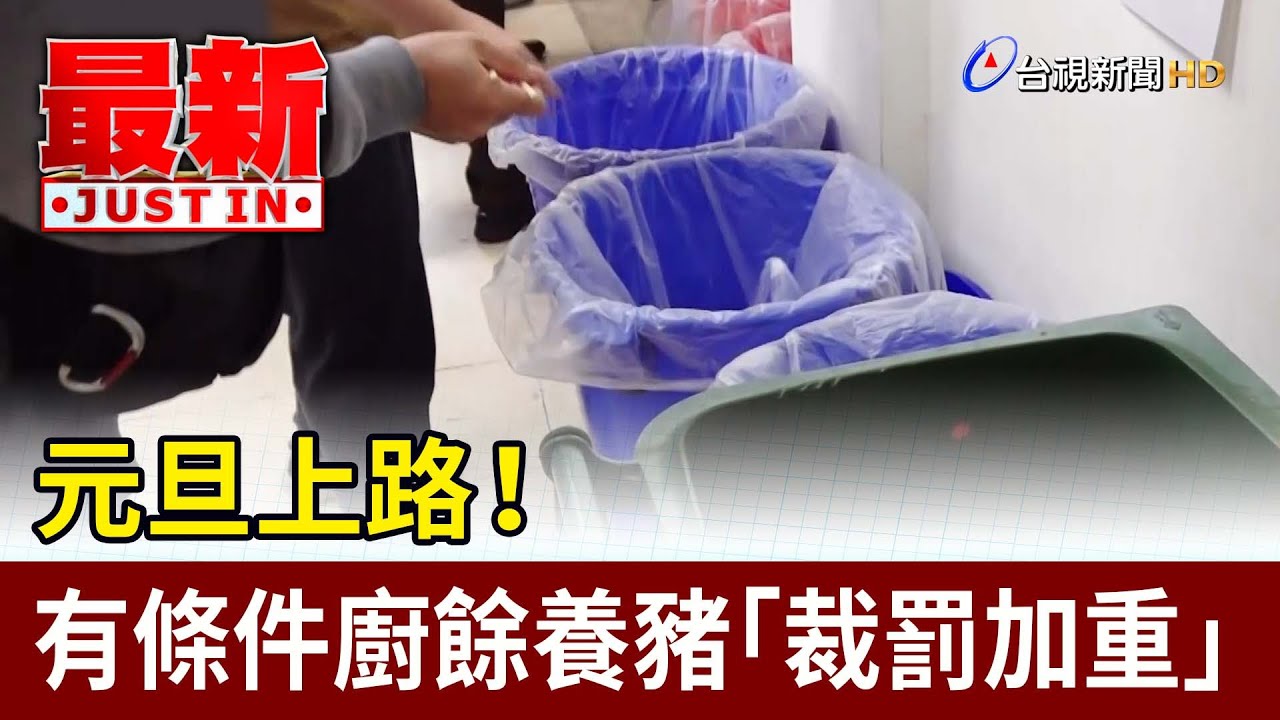 元旦上路！ 有條件廚餘養豬「裁罰加重」【最新快訊】