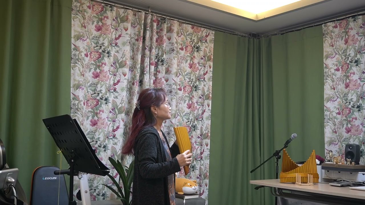 홀로아리랑 (팬플룻 세상)
