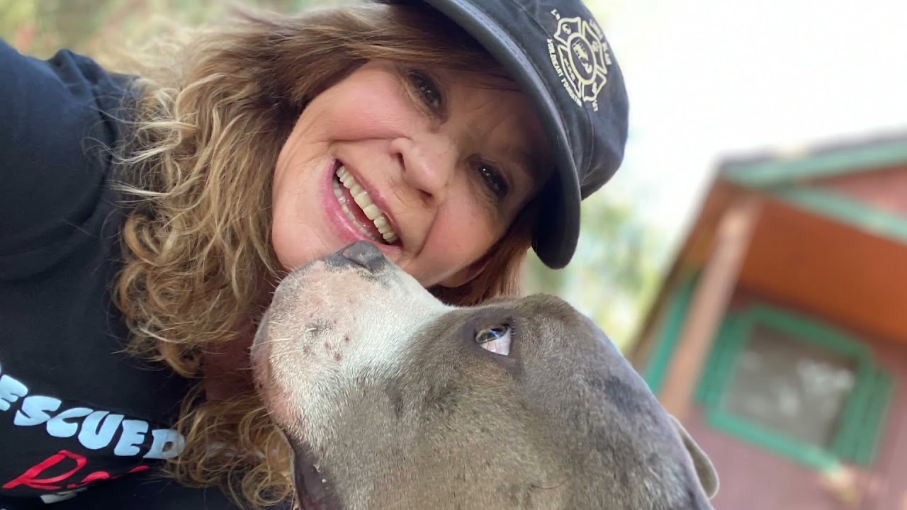 LINDA BLAIR WORLDHEART  Rescue  Overview 2020