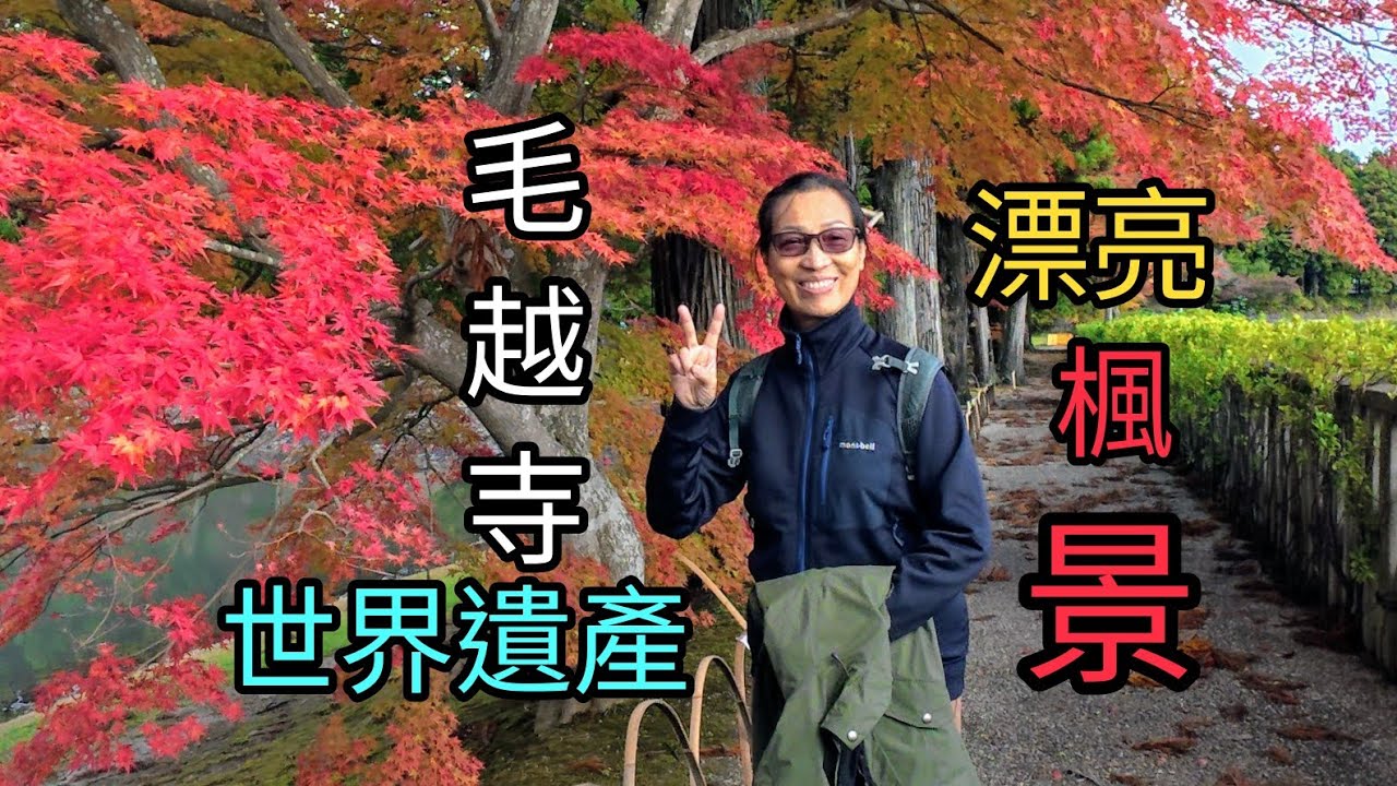 漂亮的毛越寺楓景（大船渡線火車停駛，臨時改到世界遺產平泉賞楓）
