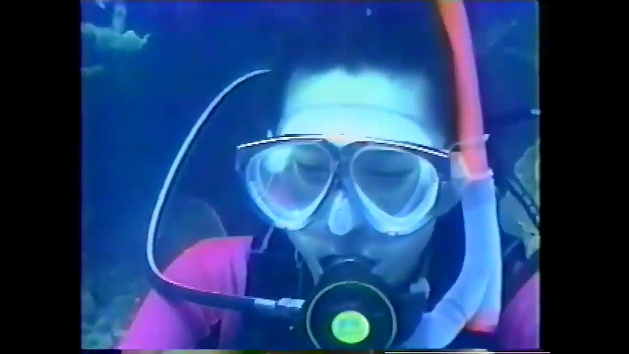 Japanese drama wetsuits 2 - ウェットスーツ スキューバ