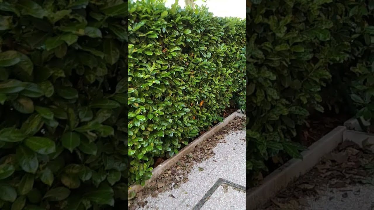 Bergamo #bilocale con giardino a Briolo di #PonteSanPietro