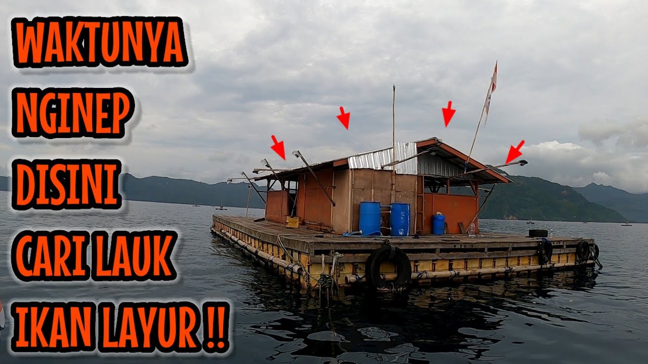 NGINEP DI RUMAH APUNG LAGI MANCING IKAN LAYUR DAN LUTHO (Rangkuman live trip 30 nov)