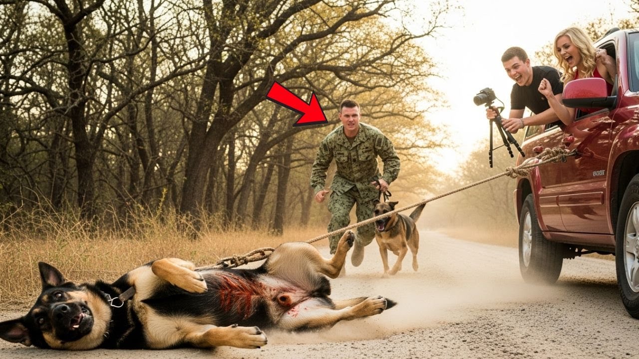 Rich Influencers Dragged a Helpless Old Dog for Money — Until a Navy SEAL and His Dog Stepped In