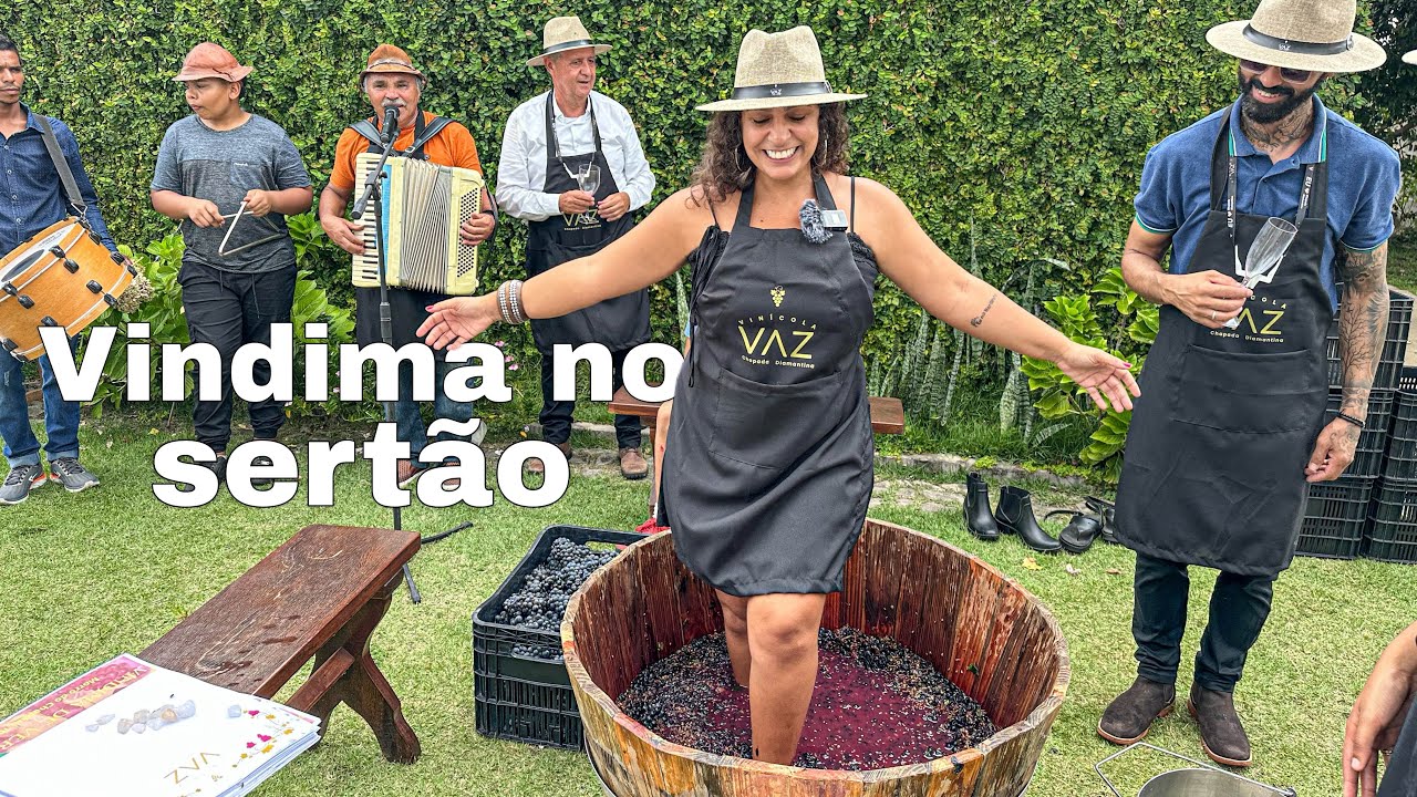 PISA DAS UVAS EM MORRO DO CHAPÉU-BA