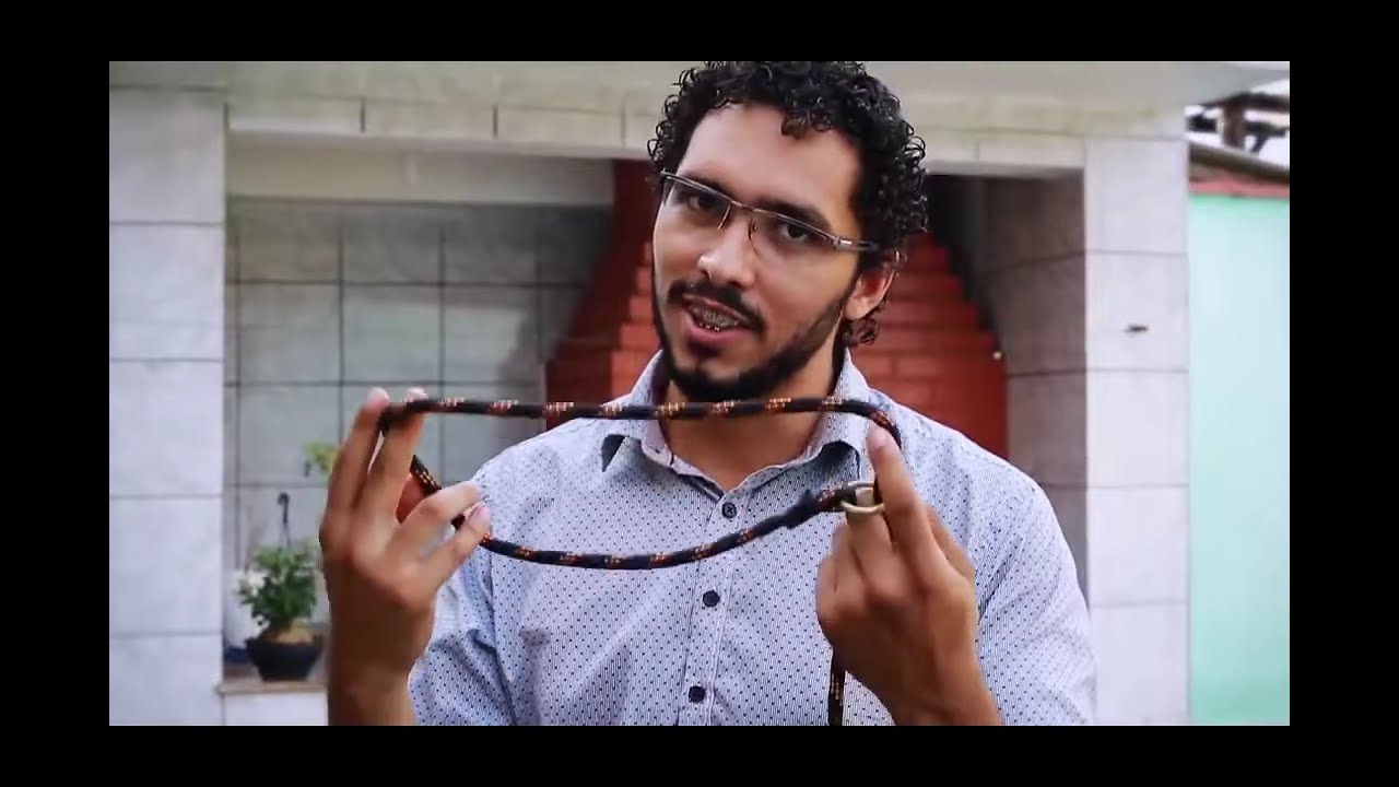 Sansão: aprenda a controlar um cachorro com muita energia