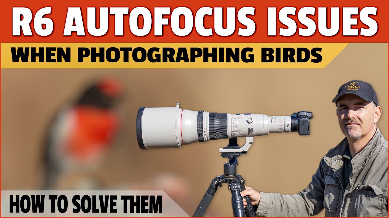 My R6 Autofocus Is Being Annoying - Any Ideas? Are You Experiencing Issues? Possible Solutions