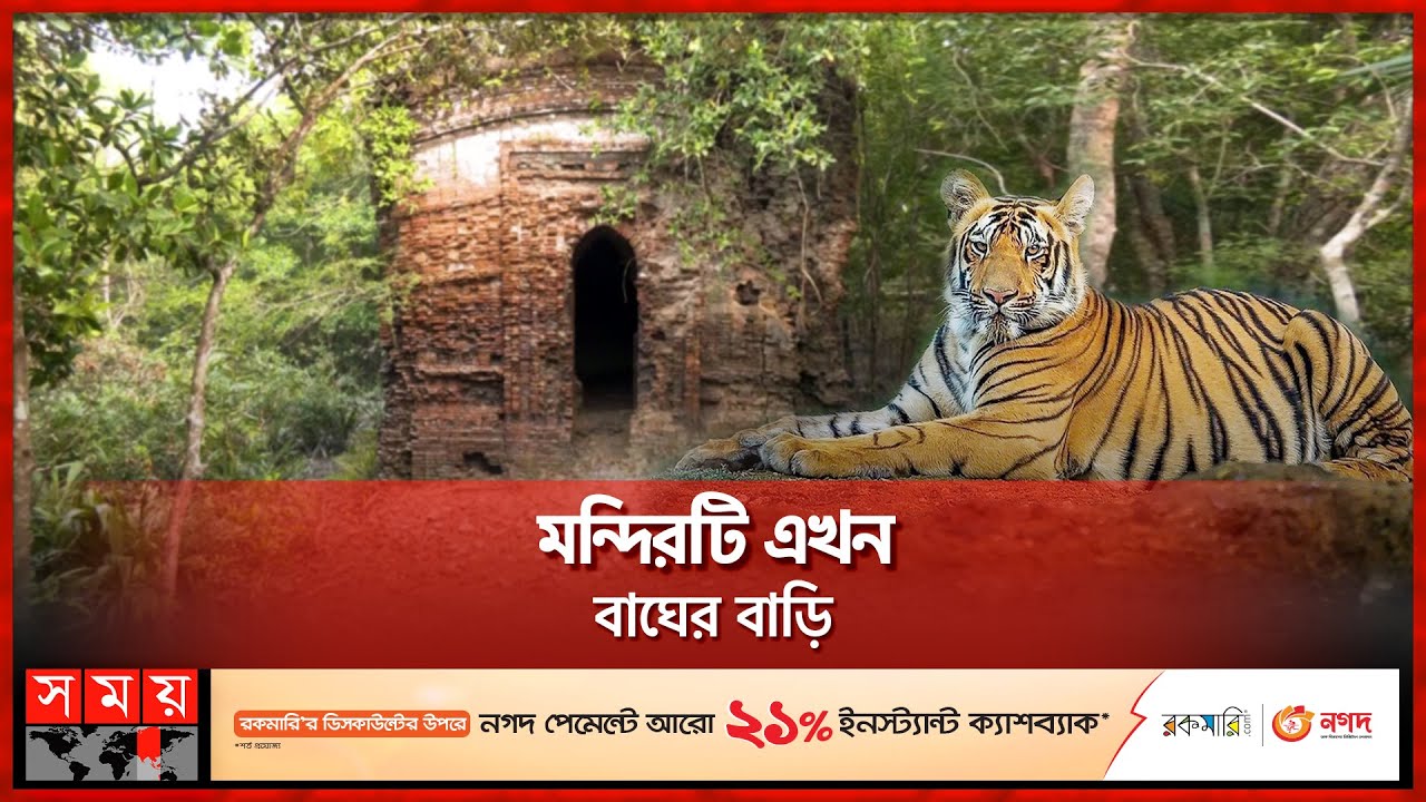 সুন্দরবনে ৪০০ বছরের পুরোনো স্থাপনা | Shekhertek Temple | Sundarbans | Royal Bengal Tiger | Somoy TV