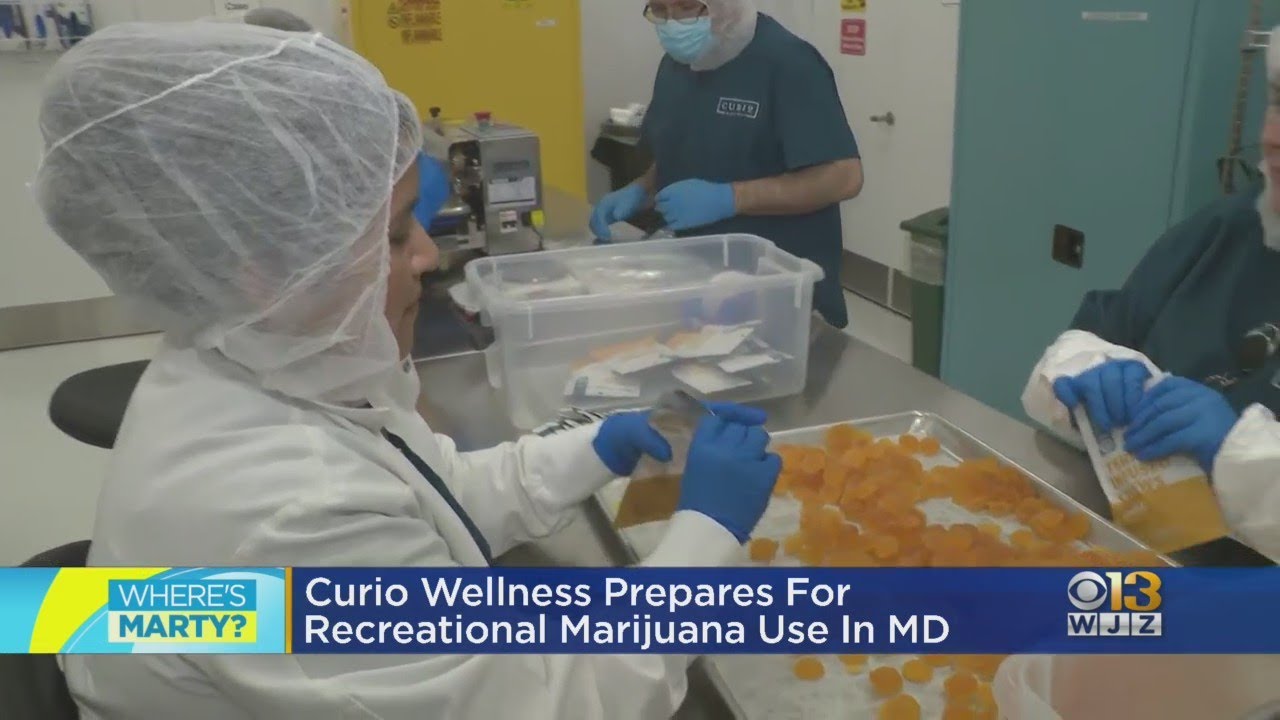 Where's Marty? At Curio Wellness learning about the cannabis industry?