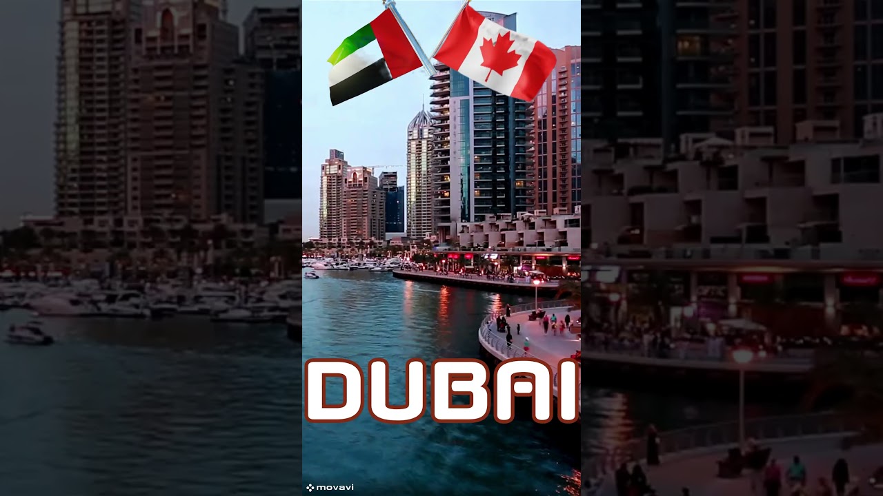 Canadian Company to help you setup business in Dubai | Canada to Dubai | Company Formation Hub