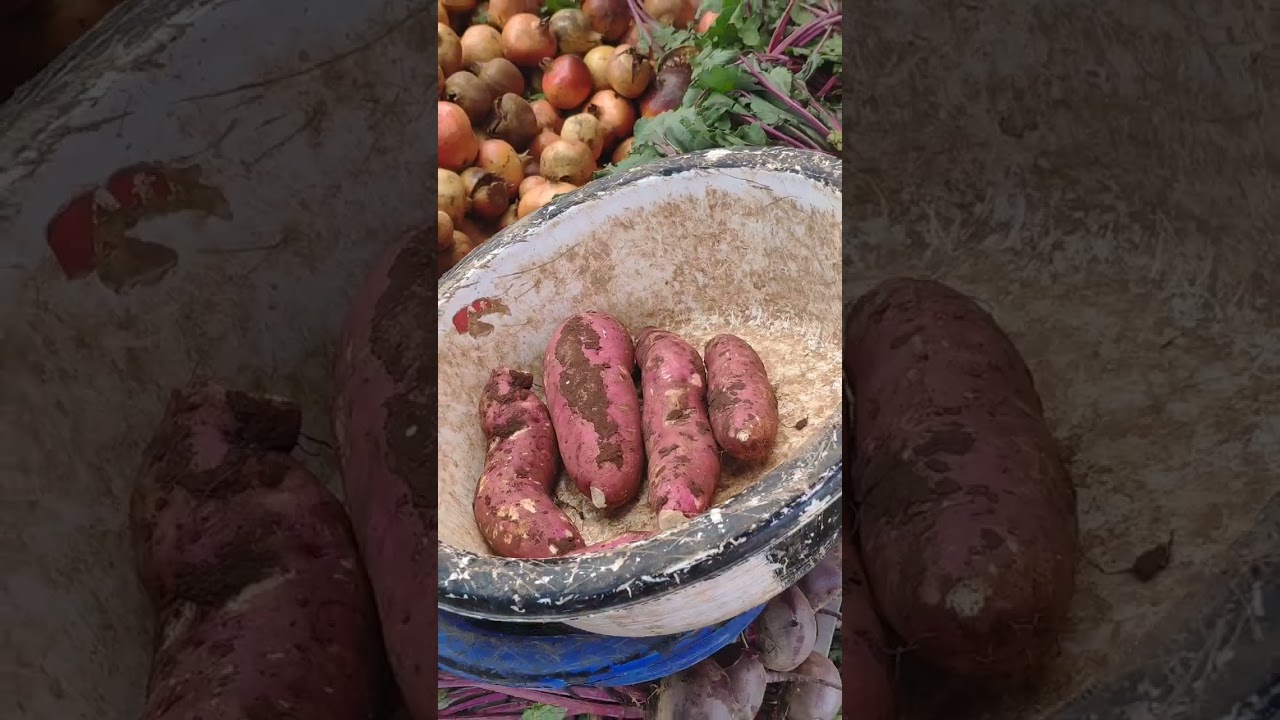 السوق الأسبوعي الإثنين أولاد برحيل اقليم تارودانت