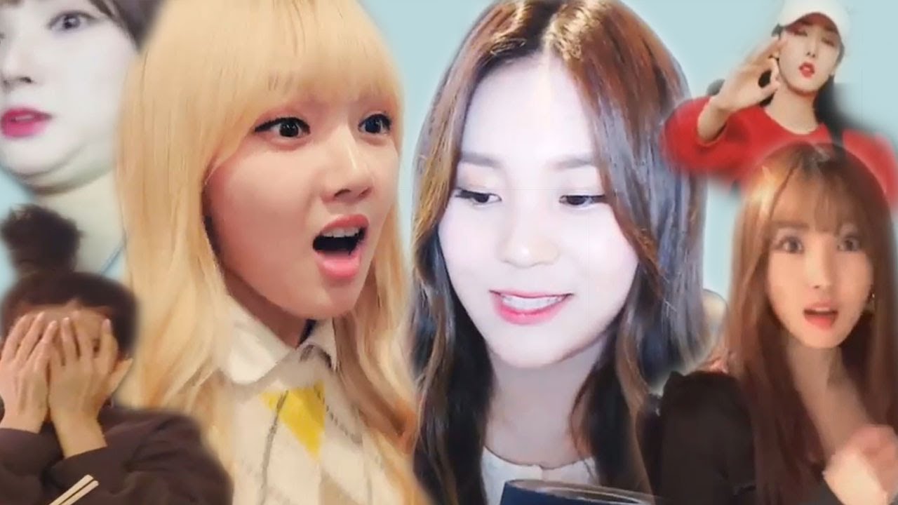 gfriend is going to lose their vlive account